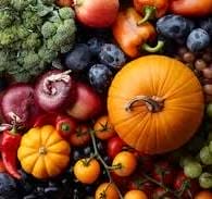 fall nutrition